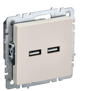 BRITE Роз. USB A+A 3,1А РЮ10-1-БрКр беж. IEK