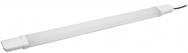 Светильник ДСП 1309 18Вт 6500К IP65 600мм белый пластик IEK