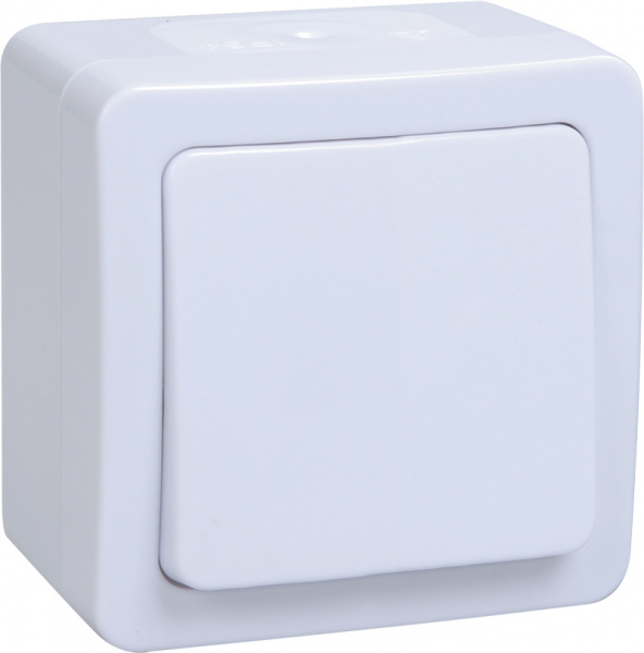 ВСп20-1-0-ГПБ выкл 1кл проход. о/у IP54 (цвет клавиш: белый) ГЕРМЕС PLUS